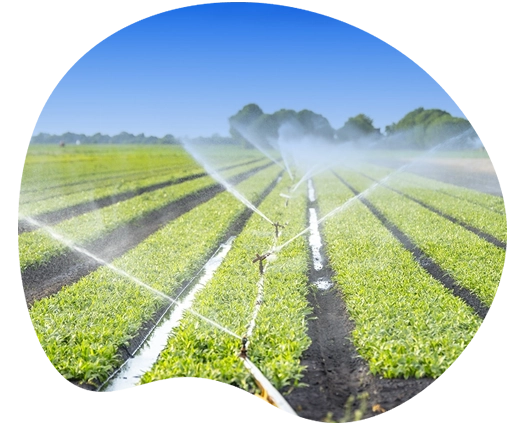 Challenges in Irrigation & Water Systems